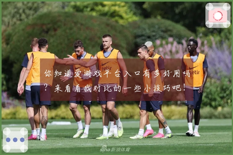 你知道爱游戏平台入口有多好用吗？来看看我对比的一些小技巧吧！