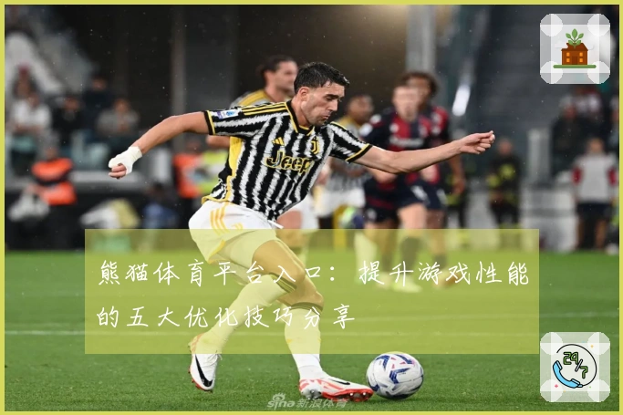 熊猫体育平台入口：提升游戏性能的五大优化技巧分享