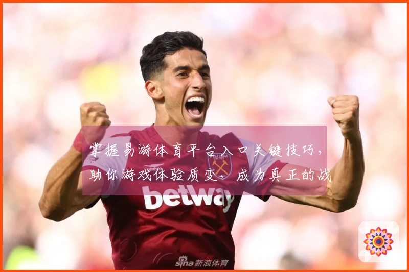 掌握易游体育平台入口关键技巧，助你游戏体验质变，成为真正的战场王者