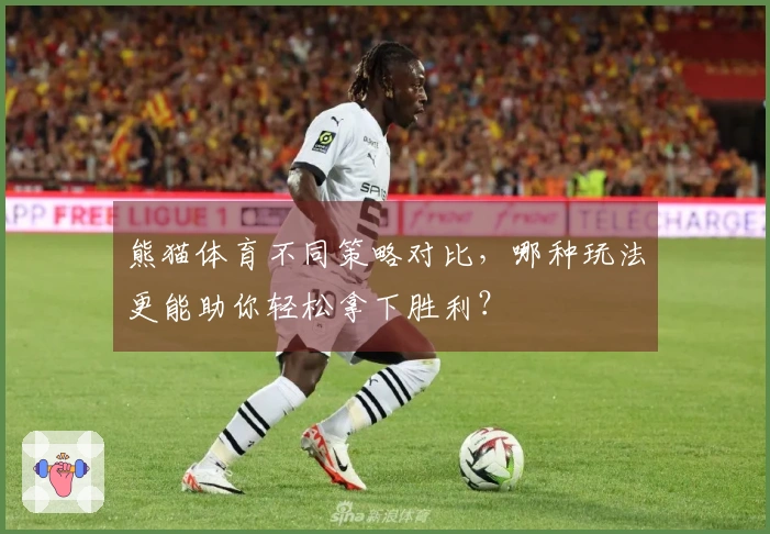 熊猫体育不同策略对比，哪种玩法更能助你轻松拿下胜利？